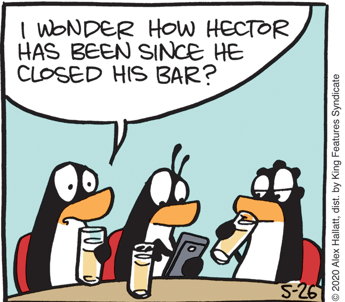 Fictional character OCR: I WONDER HOW HECTOR HAS BEEN SINCE HE CLOSED HIS BAR? 5-26 O 2020 Alex Hallattdist. by King Features Syndicate I WONDER HOW HECTOR HAS BEEN SINCE HE CLOSED HIS BAR? 5-26 O 2020 Alex Hallattdist. by King Features Syndicate