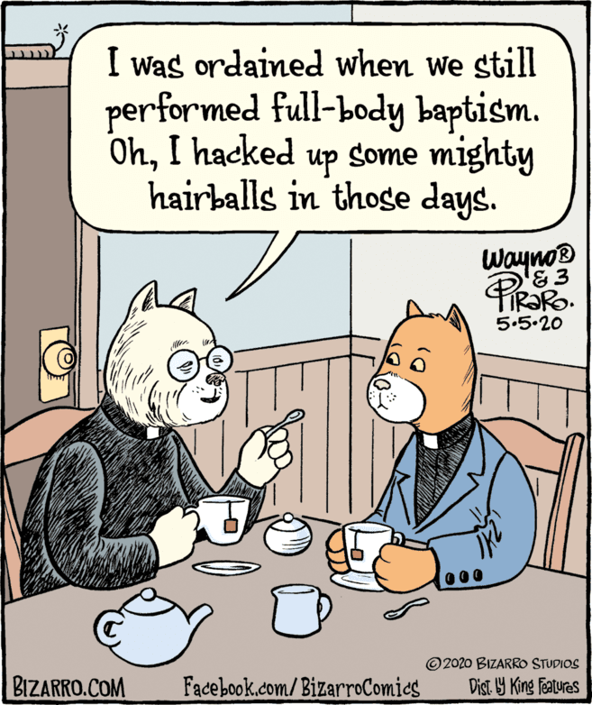 Parallel OCR: I was ordained when we still performed full-body baptism. OhI hacked up some mighty hairballs in those days. Wayno® & 3 5.5.20 © 2020 BIZARRO STUDIOS BIZARRO.COM Facebook.com/BizarroComies Dist. Y King features I was ordained when we still performed full-body baptism. OhI hacked up some mighty hairballs in those days. Wayno® & 3 5.5.20 © 2020 BIZARRO STUDIOS BIZARRO.COM Facebook.com/BizarroComies Dist. Y King features