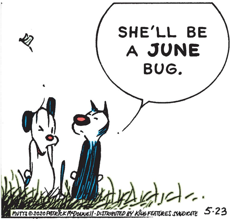 Art OCR: SHE'LL BE A JUNE BUG. MUTTS 2020 PATRlckMDOLNEl DISTRIBUTED BY KNG FEATURES SYNDICATE 5:23 SHE'LL BE A JUNE BUG. MUTTS 2020 PATRlckMDOLNEl DISTRIBUTED BY KNG FEATURES SYNDICATE 5:23