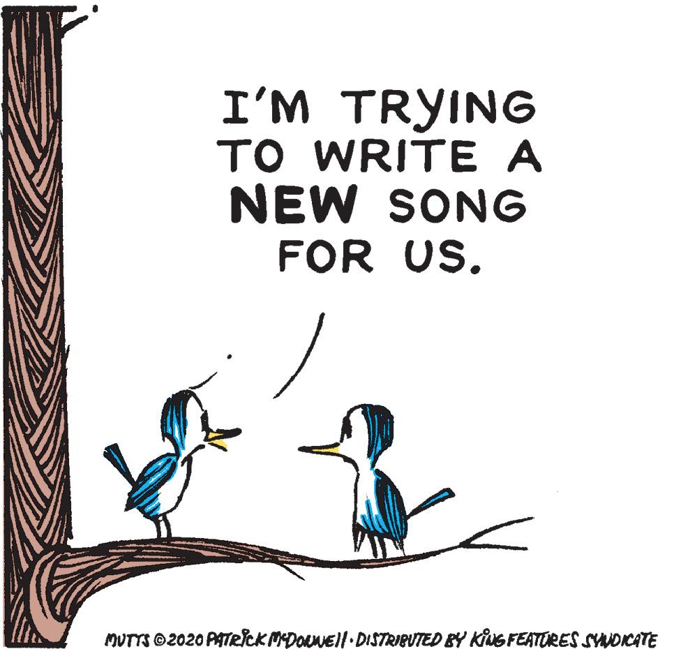 Wildlife OCR: I'M TRYING TO WRITE A NEW SONG FOR US. MUTTS ©2020 AATRICK MDONNEII DISTRIBUTED BY KiuG FEATÚRES SYNOICATE I'M TRYING TO WRITE A NEW SONG FOR US. MUTTS ©2020 AATRICK MDONNEII DISTRIBUTED BY KiuG FEATÚRES SYNOICATE