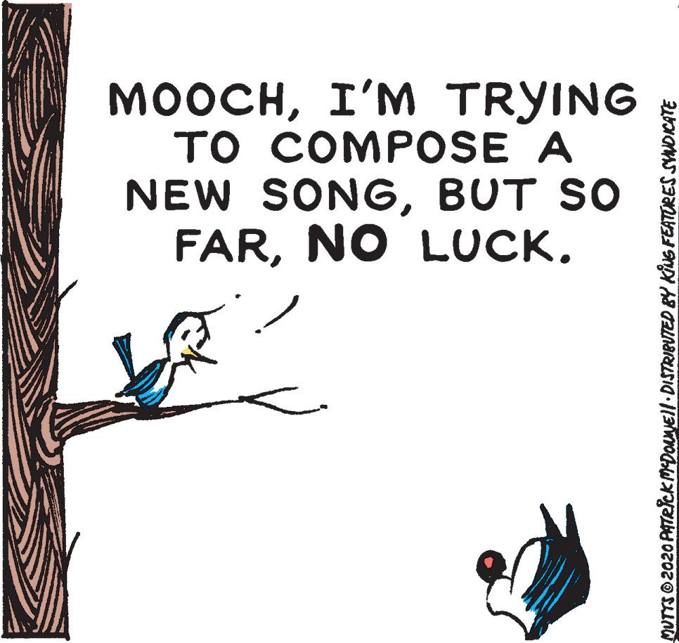Bird OCR: MOOCHI'M TRYING ?? ?OMPOSE A NEW SONGBUT SO FARNO LUCK. MUTYS O 2020 PATRIcKMADOAMNEll DISTRIBUTED BY KING FEATORES SYWOKATE MOOCHI'M TRYING ?? ?OMPOSE A NEW SONGBUT SO FARNO LUCK. MUTYS O 2020 PATRIcKMADOAMNEll DISTRIBUTED BY KING FEATORES SYWOKATE