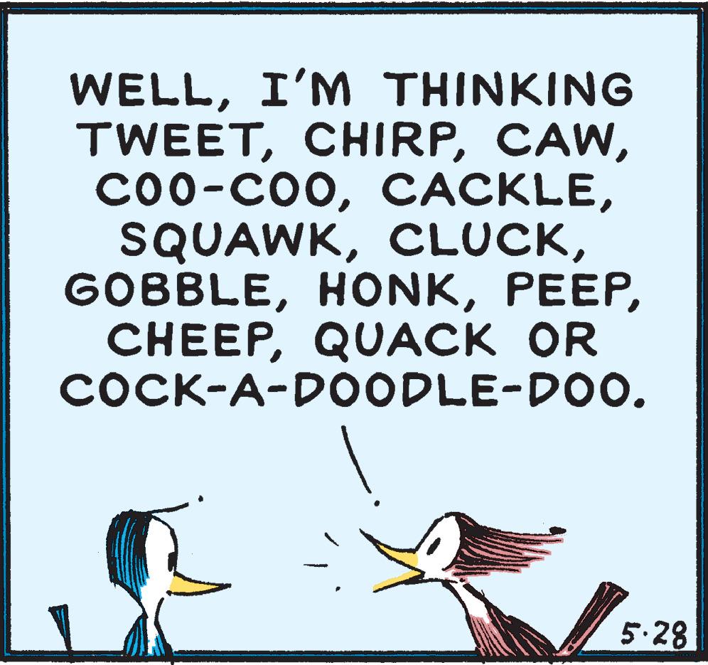 Fictional character OCR: WELLI'M THINKING TWEETQUACK OR COCK-A-DOODLE-DOO. 5.28 WELLI'M THINKING TWEETQUACK OR COCK-A-DOODLE-DOO. 5.28