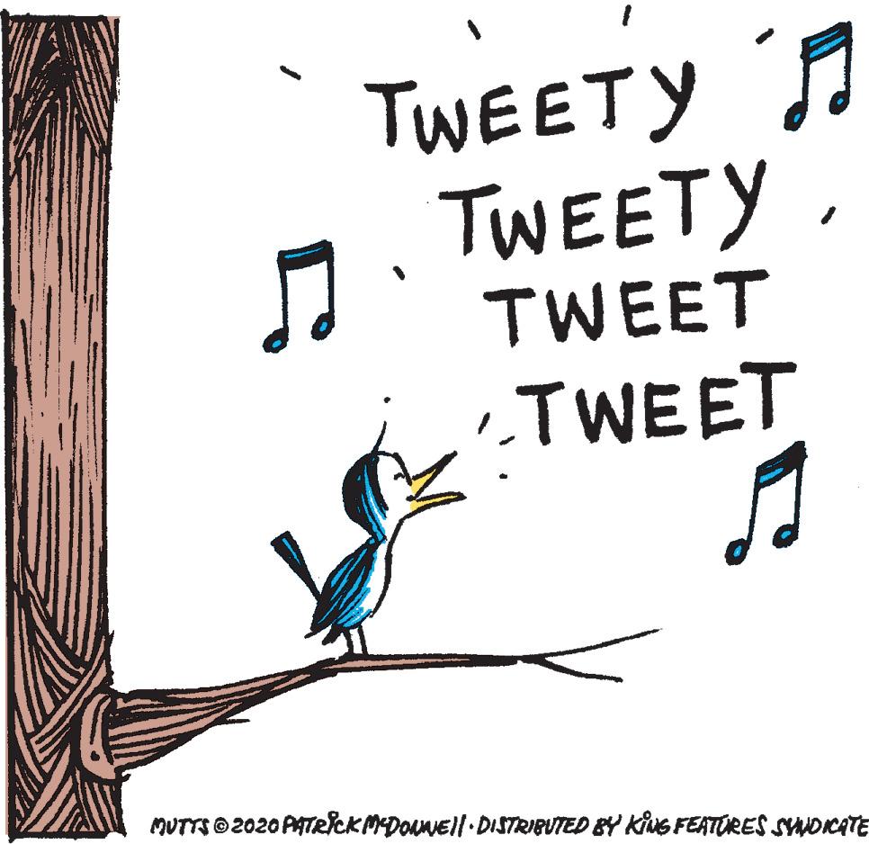 Calligraphy OCR: TWEETY TWEETYTWEET TWEET MUTTSO 2020 PATRlcKMDOAMEl|- DISTRIBUTED BY KiNG FEATURES SNOCATE TWEETY TWEETYTWEET TWEET MUTTSO 2020 PATRlcKMDOAMEl|- DISTRIBUTED BY KiNG FEATURES SNOCATE