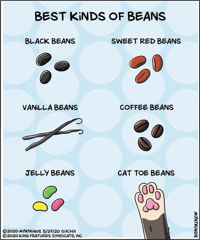 Graphics OCR: BEST KINDS OF BEANS BLACK BEANS SWEET RED BEANS VANILLA BEANS COFFEE BEANS JELLY BEANS CAT TOE BEANS ©2020 M.PATRINOS 5/29/20 SIXCHIX ©2020 KING FEATURES SYNDICATEINC. M.PATRINOS BEST KINDS OF BEANS BLACK BEANS SWEET RED BEANS VANILLA BEANS COFFEE BEANS JELLY BEANS CAT TOE BEANS ©2020 M.PATRINOS 5/29/20 SIXCHIX ©2020 KING FEATURES SYNDICATEINC. M.PATRINOS