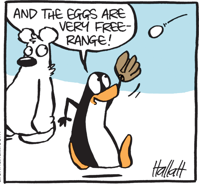 Pleased OCR: AND THE EGGS ARE VERY FREE- RANGE! Halt AND THE EGGS ARE VERY FREE- RANGE! Halt
