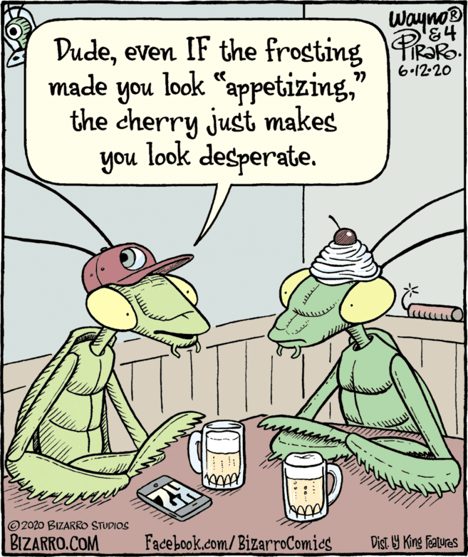 Line OCR: Wayno Dudeeven IF the frosting FRoR. 6.12-20 look “appetizing" 77 made you the cherry just makes you look desperate. ©2020 BIZARRO STUDIOS BIZARRO.COM Facebook.com/BizarroComics Dist. Y King features Wayno Dudeeven IF the frosting FRoR. 6.12-20 look “appetizing" 77 made you the cherry just makes you look desperate. ©2020 BIZARRO STUDIOS BIZARRO.COM Facebook.com/BizarroComics Dist. Y King features