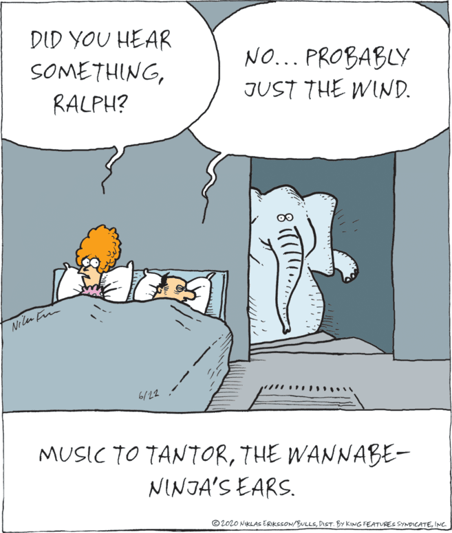 Comics OCR: DID YOU HEAR SOMETHINGNO... PROBABLY RALPH? JUST THE WIND. 00 Ni len F 6/22 MUSIC TO TANTORTHE WANNABE- NINJA'S EARS. ©2020 NIKLAS ERIKSSON/ULLSINC DID YOU HEAR SOMETHINGNO... PROBABLY RALPH? JUST THE WIND. 00 Ni len F 6/22 MUSIC TO TANTORTHE WANNABE- NINJA'S EARS. ©2020 NIKLAS ERIKSSON/ULLSDIST. BY KING FEATURES SYNDICATE