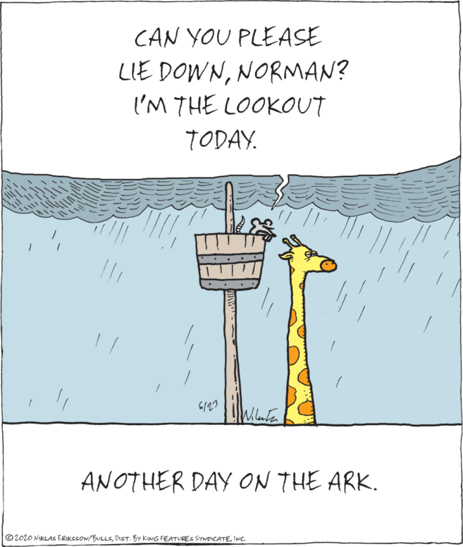 Adaptation OCR: CAN YOU PLEASE LIE DOWNNORMAN? I'M THE LOOKOUT TODAY. ANOTHER DAY ON THE ARK. © 2020 NIKLAS ERIKSSON/BULLSINC. CAN YOU PLEASE LIE DOWNNORMAN? I'M THE LOOKOUT TODAY. ANOTHER DAY ON THE ARK. © 2020 NIKLAS ERIKSSON/BULLSDIST. BY KING FEATURES SYNDICATE