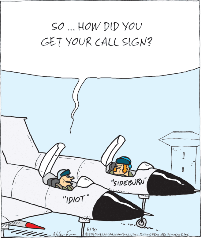 Illustration OCR: SO.. HOW DID YOU GET YOUR CALL SIGN? "SIDEBURN "IDIOT" Niler hm 6/30 ©2020 NIKLAS ERIKCSON/BULLSINC SO.. HOW DID YOU GET YOUR CALL SIGN? "SIDEBURN "IDIOT" Niler hm 6/30 ©2020 NIKLAS ERIKCSON/BULLSDICT. By KING FEATURES SYNDICATE