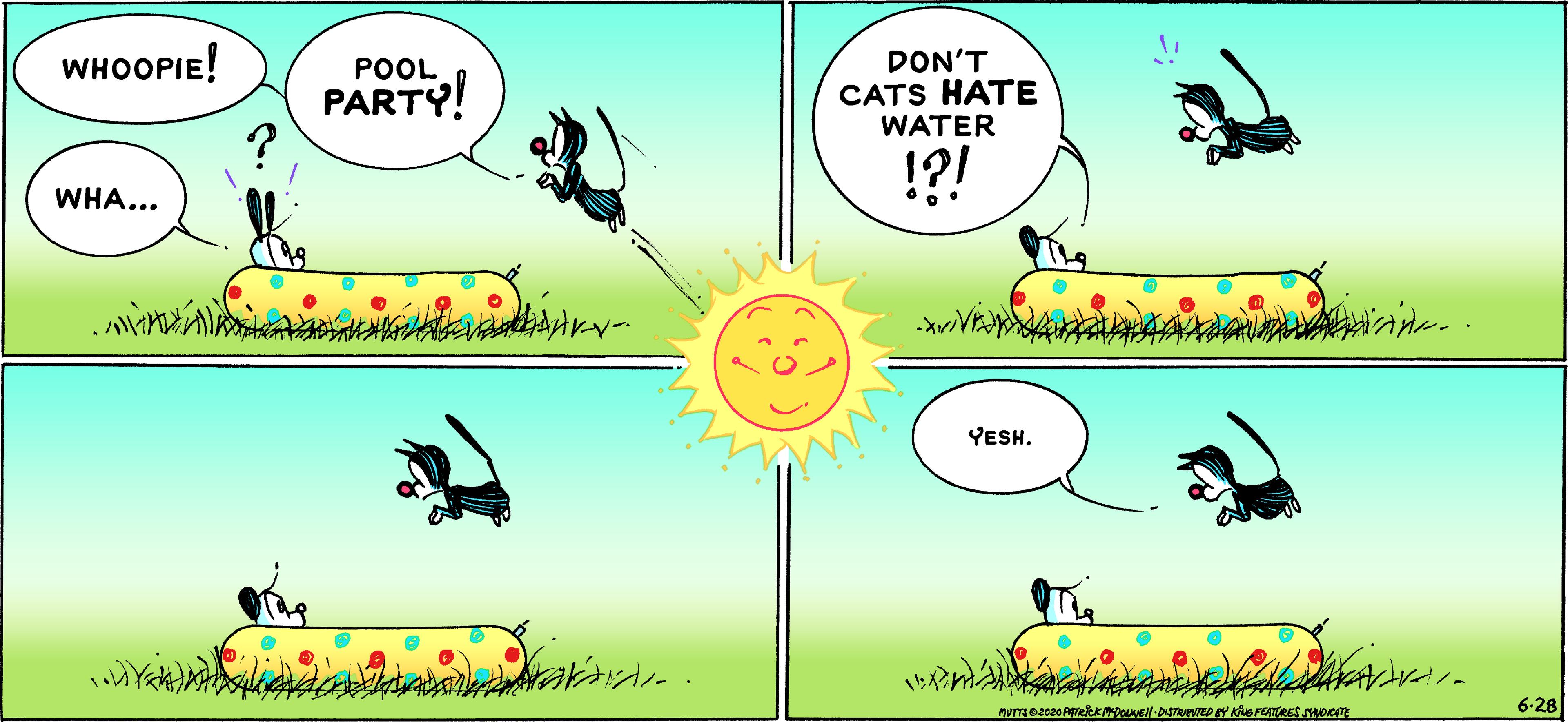 Wildlife OCR: WHOOPIE! DON'T CATS HATE WATER POOL PARTY! !?! WHA... YESH. 6-28 WHOOPIE! DON'T CATS HATE WATER POOL PARTY! !?! WHA... YESH. 6-28