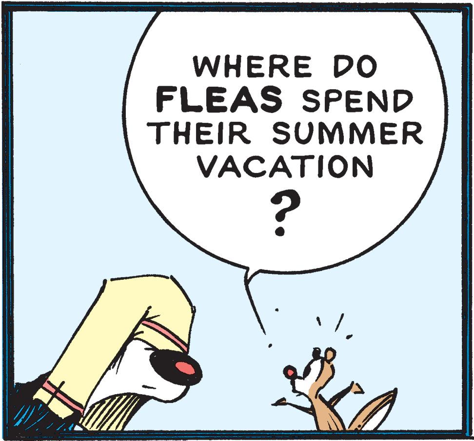 Art OCR: WHERE DO FLEAS SPEND THEIR SUMMER VACATION WHERE DO FLEAS SPEND THEIR SUMMER VACATION