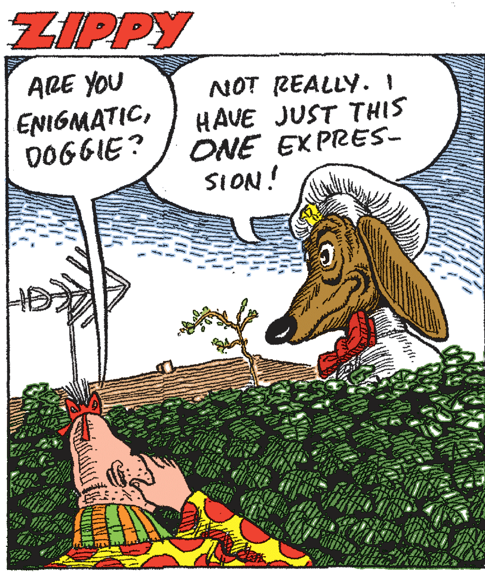 Illustration OCR: ZIPPY ARE YOU ENIGMATICDOGGIE? NOT REALLY. I HAVE JUST THIS ONE EXPRES- SION! ZIPPY ARE YOU ENIGMATICDOGGIE? NOT REALLY. I HAVE JUST THIS ONE EXPRES- SION!