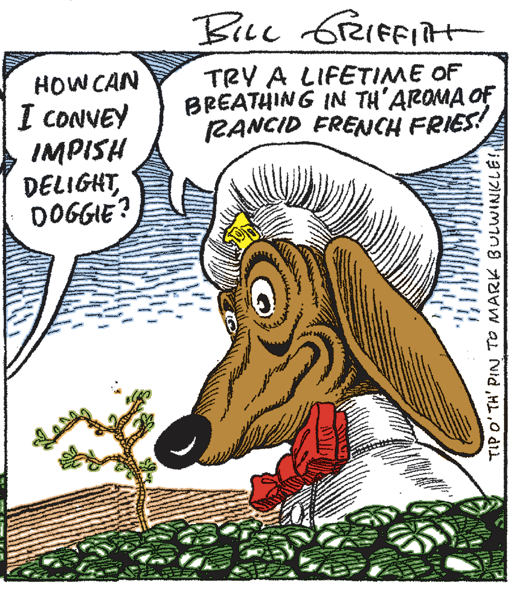 Art OCR: TRY A LIFETIME OF BREATHING IN TH'AROMA OF RANCID FRENCH FRIES! HOW CAN I CONVEY IMPISH DELIGHTDOGGIE? TIP O' TH' PINN TO MARK BULWINCLÉ! TRY A LIFETIME OF BREATHING IN TH'AROMA OF RANCID FRENCH FRIES! HOW CAN I CONVEY IMPISH DELIGHTDOGGIE? TIP O' TH' PINN TO MARK BULWINCLÉ!