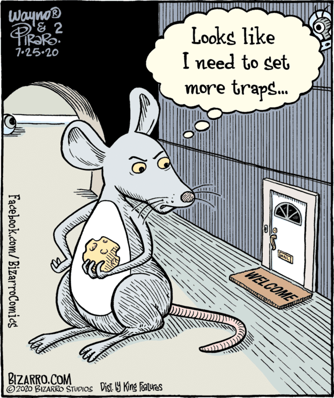 Fiction OCR: wayno® '& 2 Looks like I need to set more traps. 7•25.20 MAIL WELCOME BIZARRO.COM ©2020 BIZARRO STUDIOS Vist. King features Facebook.com/ BizarroComies wayno® '& 2 Looks like I need to set more traps. 7•25.20 MAIL WELCOME BIZARRO.COM ©2020 BIZARRO STUDIOS Vist. King features Facebook.com/ BizarroComies