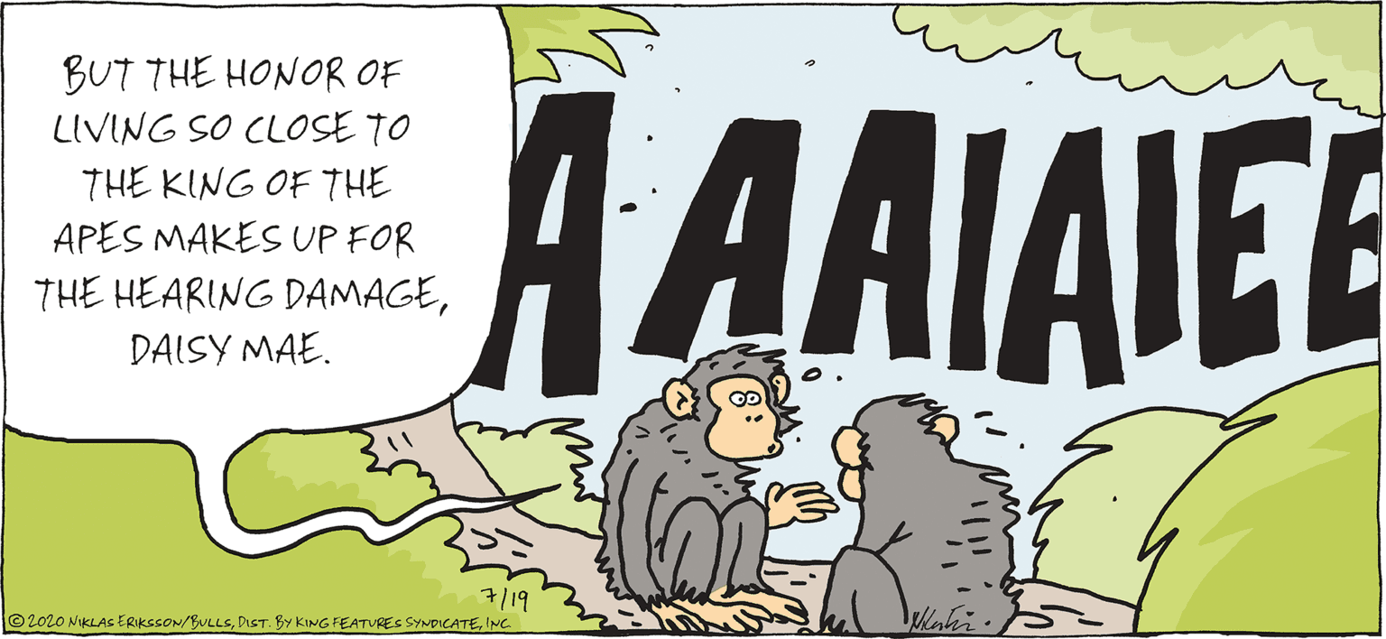 Primate OCR: BUT THE HONOR OF LIVING SO CLOSE TO THE KING OF THE AAAIAIE APES MAKES UP FOR THE HEARING DAMAGEDAISY MAE. 7/19 ©2020 NIKLAS ERIKSSON/BULLSINC BUT THE HONOR OF LIVING SO CLOSE TO THE KING OF THE AAAIAIE APES MAKES UP FOR THE HEARING DAMAGEDAISY MAE. 7/19 ©2020 NIKLAS ERIKSSON/BULLSDIST. BY KING FEATURES SYNDICATE