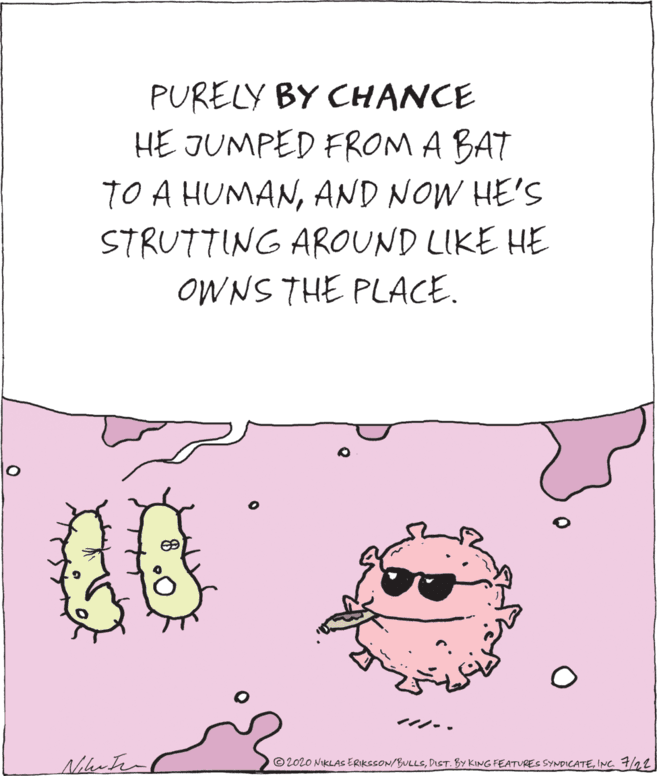Font OCR: PURELY BY CHANCE HE JUMPED FROM A BAT TO A HUMANAND NOW HE'S STRUTTING AROUND LIKE HE OWNS THE PLACE. ?? Nikrten © 202O NIKLAS ERIKSSON/BULLSINC 7/22 PURELY BY CHANCE HE JUMPED FROM A BAT TO A HUMANAND NOW HE'S STRUTTING AROUND LIKE HE OWNS THE PLACE. ?? Nikrten © 202O NIKLAS ERIKSSON/BULLSDIST. BY KING FEATVRES SYNDICATEINC 7/22