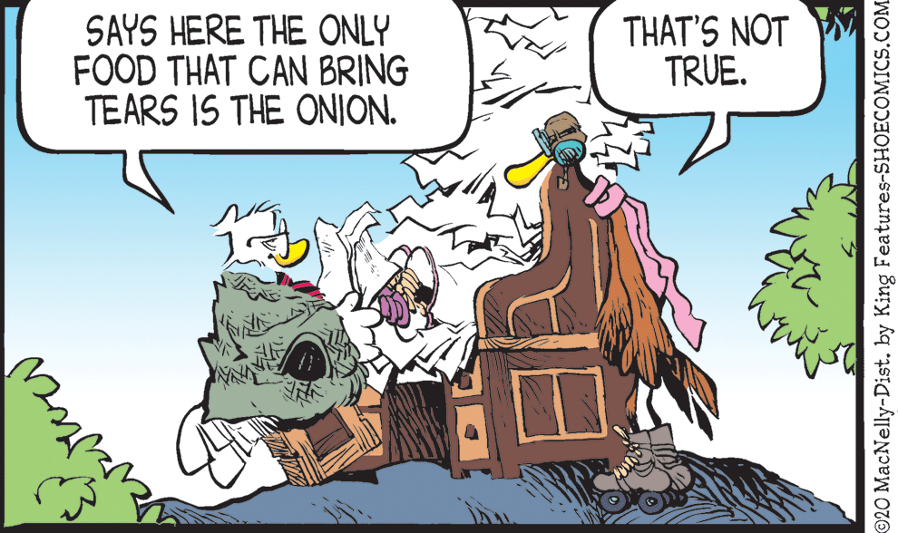 Animated cartoon OCR: SAYS HERE THE ONLY FOOD THAT CAN BRING TEARS IS THE ONION. THAT'S NOT TRUE. ? ©20 MacNelly-Dist. by King Features-SHOECOMICS.COM SAYS HERE THE ONLY FOOD THAT CAN BRING TEARS IS THE ONION. THAT'S NOT TRUE. ? ©20 MacNelly-Dist. by King Features-SHOECOMICS.COM