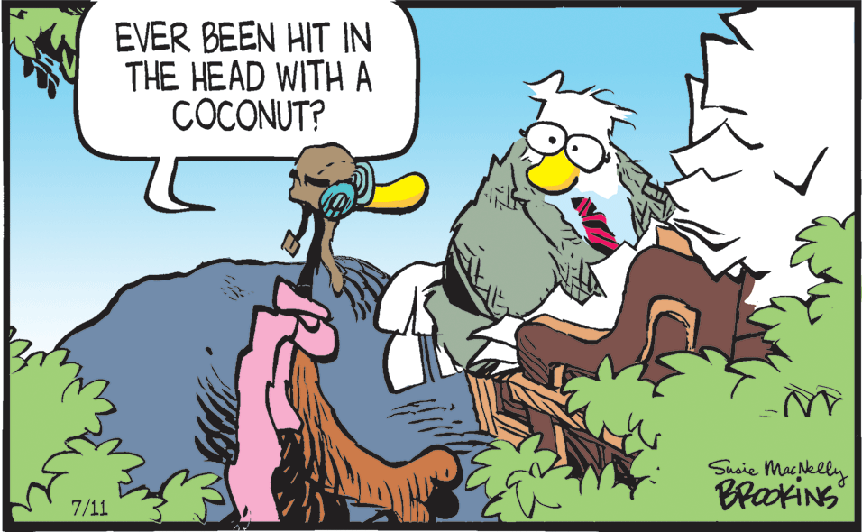 Drawing OCR: EVER BEEN HIT IN THE HEAD WITH A COCONUT? AN Susie Macklly BrakiNs 7/11 EVER BEEN HIT IN THE HEAD WITH A COCONUT? AN Susie Macklly BrakiNs 7/11