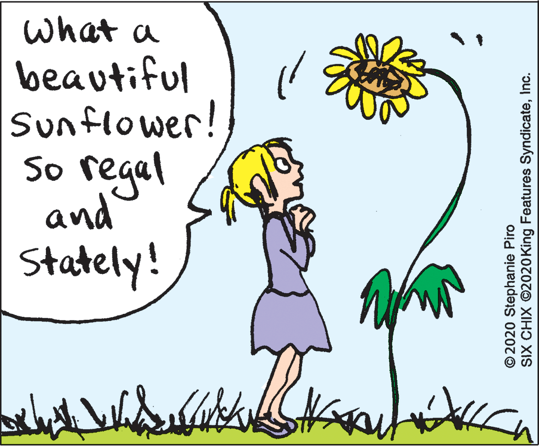Petal OCR: what a beautiful Sunflower! regal So and Stately! O2020 Stephanie Piro SIX CHIX ©2020King Features SyndicateInc. what a beautiful Sunflower! regal So and Stately! O2020 Stephanie Piro SIX CHIX ©2020King Features Syndicate