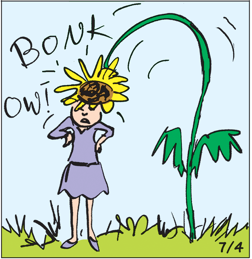 Sharing OCR: BONK ?? OW! 7/4 BONK ?? OW! 7/4