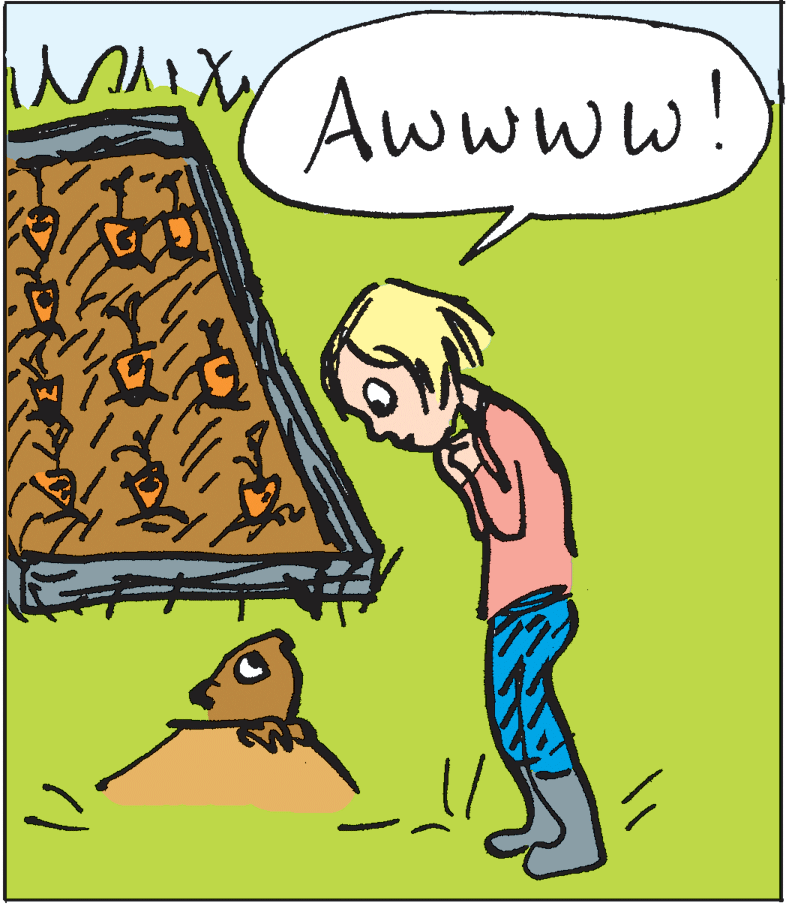 Line OCR: Awwww! Awwww!
