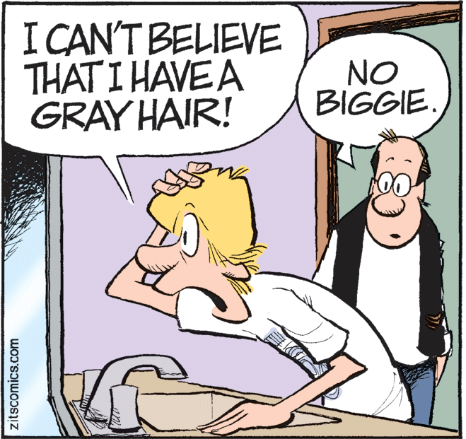 Fictional character OCR: I CAN'T BELIEVE THAT I HAVE A GRAY HAIR! NO BIGGIE. zitscomics.com I CAN'T BELIEVE THAT I HAVE A GRAY HAIR! NO BIGGIE. zitscomics.com