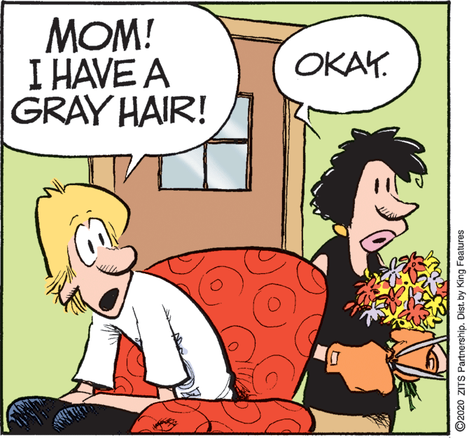 Fictional character OCR: MOM! I HAVE A GRAY HAIR! OKAY. ©2020 ZITS Partnership. Dist. by King Features MOM! I HAVE A GRAY HAIR! OKAY. ©2020 ZITS Partnership. Dist. by King Features