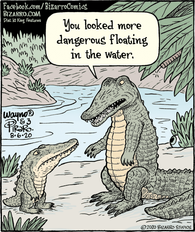 Terrestrial animal OCR: Facebook.com/BizarroComics BIZARRO.COM Dist. b King Features Vou looked more dangerous floating in the water. WaynoD '83 IR?RO. ©2020 BIZARRO STUDIOS Facebook.com/BizarroComics BIZARRO.COM Dist. b King Features Vou looked more dangerous floating in the water. WaynoD '83 IR?RO. ©2020 BIZARRO STUDIOS