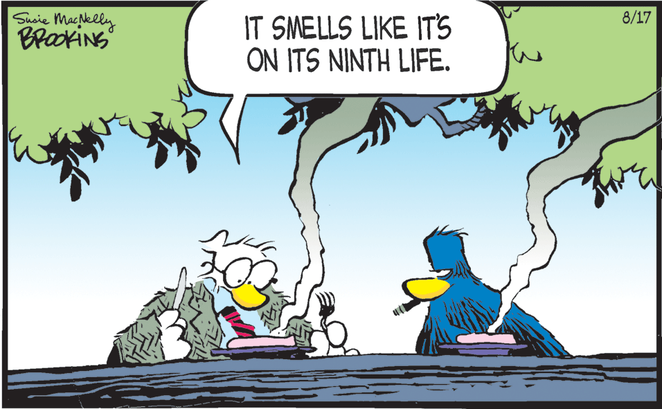 Animated cartoon OCR: Susie Macklly BrakiNS 8/17 IT SMELLS LIKE IT'S ON ITS NINTH LIFE. Susie Macklly BrakiNS 8/17 IT SMELLS LIKE IT'S ON ITS NINTH LIFE.