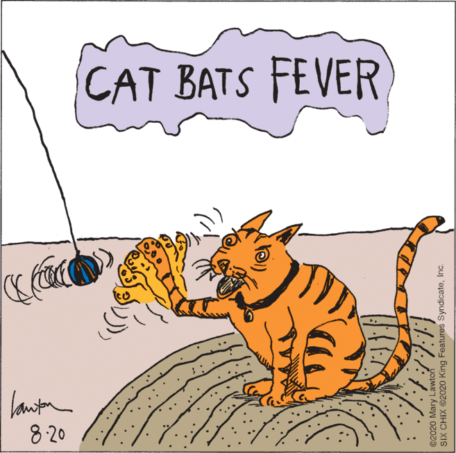 Carnivore OCR: CAT BATS FEVER 8 20 ©2020 Mary Lawton SIX CHIX ©2020 King Features SyndicateInc. CAT BATS FEVER 8 20 ©2020 Mary Lawton SIX CHIX ©2020 King Features Syndicate
