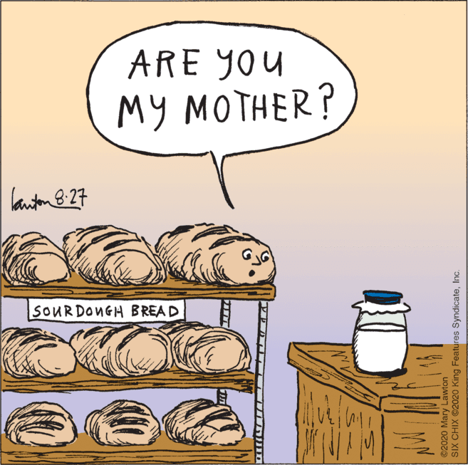 Staple food OCR: ARE YOU ?? ????ER? lauton 8:27 SOURDONGH BREAD ©2020 Mary Lawton SIX CHIX 2020 King Features SyndicateInc. ARE YOU ?? ????ER? lauton 8:27 SOURDONGH BREAD ©2020 Mary Lawton SIX CHIX 2020 King Features Syndicate