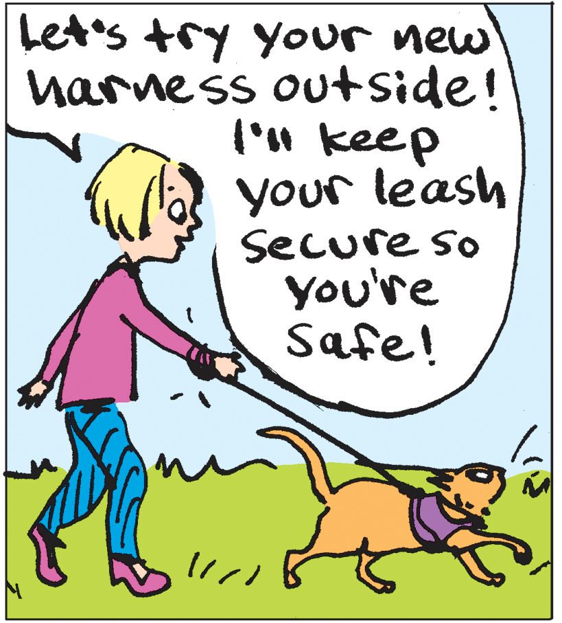 Interaction OCR: Let's try your new harness outside! ('n keep your leash Secure so you're Safe! Let's try your new harness outside! ('n keep your leash Secure so you're Safe!