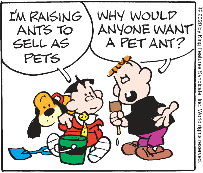 Photo caption OCR: I'M RAISING WHY WOULD ANTS TO SELL AS PETS ANYONE WANT A PET ANT? © 2020 by King Features SyndicateInc. World rights reserved. I'M RAISING WHY WOULD ANTS TO SELL AS PETS ANYONE WANT A PET ANT? © 2020 by King Features SyndicateInc. World rights reserved.