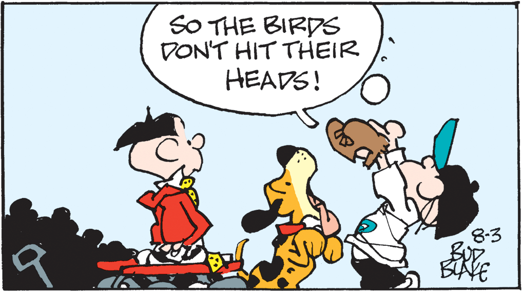 Sharing OCR: SO THE BIRDS DON'T HIT THEIR HEADS! 8-3 BIAVE SO THE BIRDS DON'T HIT THEIR HEADS! 8-3 BIAVE