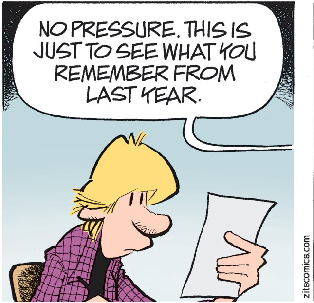 Conversation OCR: NO PRESSURE. THIS IS JUST TO SEE WHAT YOU REMEMBER FROM LAST YEAR. zitscomics.com NO PRESSURE. THIS IS JUST TO SEE WHAT YOU REMEMBER FROM LAST YEAR. zitscomics.com
