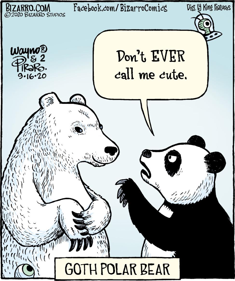 Rectangle OCR: BIZARRO.COM © 2020 BIZARRO STUDIOS Facebook.com/BizarroComics Dist Y King features Wayno Don't EVER IR?RO. 9.16-20 call me cute. GOTH POLAR BEAR BIZARRO.COM © 2020 BIZARRO STUDIOS Facebook.com/BizarroComics Dist Y King features Wayno Don't EVER IR?RO. 9.16-20 call me cute. GOTH POLAR BEAR