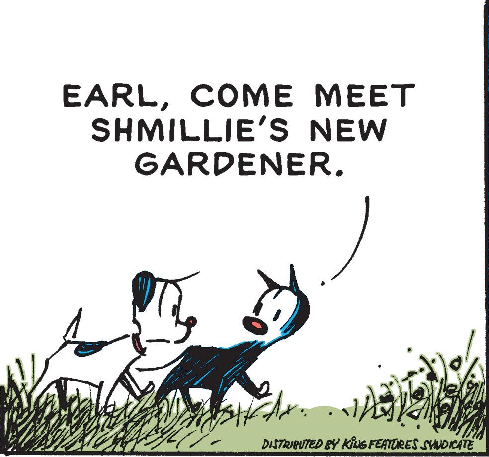 Art OCR: EARLCOME MEET SHMILLIE'S NEW GARDENER. DISTRIBUTED BY KiuG FEATORES SYOICATE EARLCOME MEET SHMILLIE'S NEW GARDENER. DISTRIBUTED BY KiuG FEATORES SYOICATE