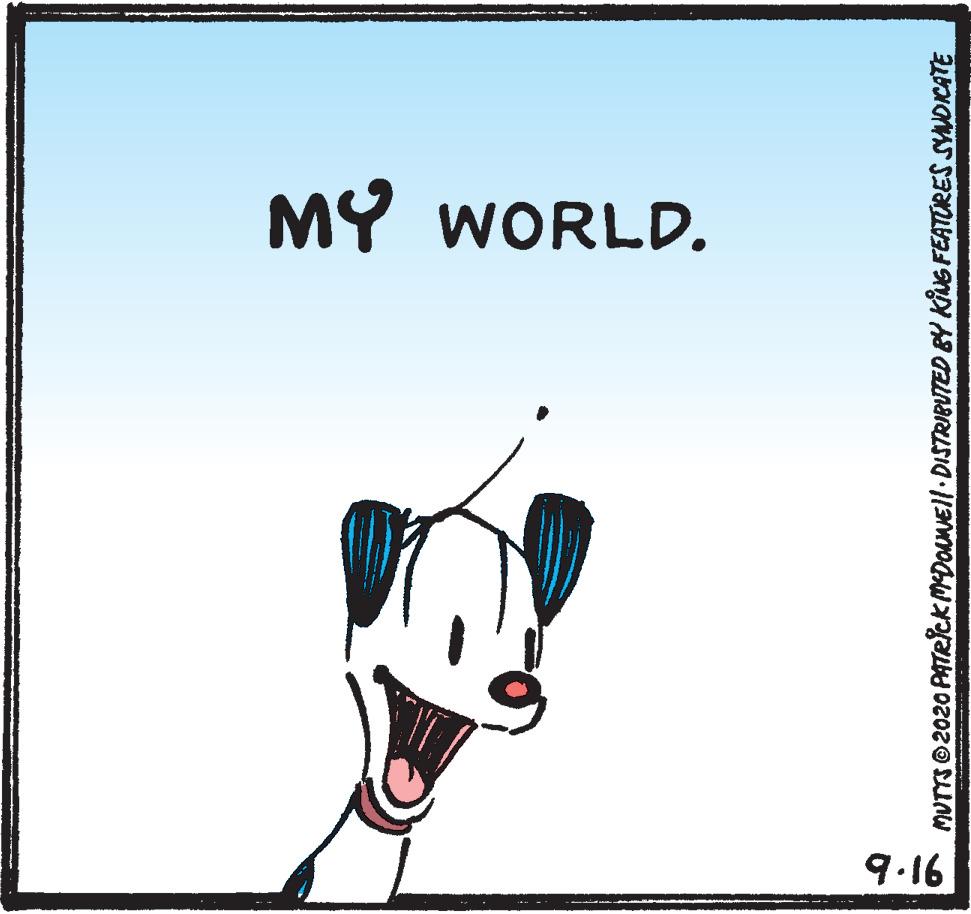 Illustration OCR: MY WORLD. 9.16 MUTTS 2020 PATRICK MDOuNEll DISTRIBUTED BY KNG FEATORES SYNDIKATE MY WORLD. 9.16 MUTTS 2020 PATRICK MDOuNEll DISTRIBUTED BY KNG FEATORES SYNDIKATE