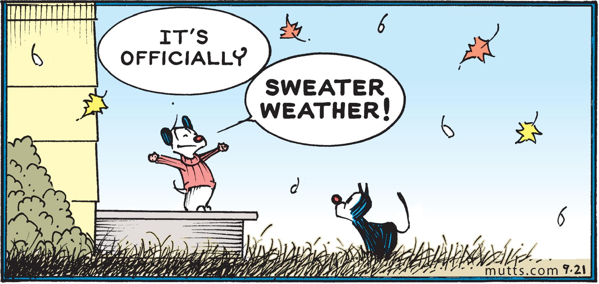 Parallel OCR: 6 6 IT'S OFFICIALLY SWEATER WEATHER! mutts.com 9-21 6 6 IT'S OFFICIALLY SWEATER WEATHER! mutts.com 9-21