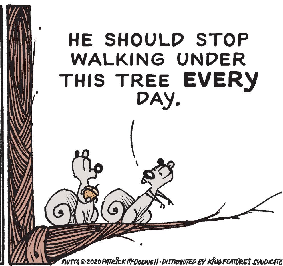 Font OCR: HE SHOULD STOP WALKING UNDER THIS TREE EVERY DAY. MUTTS ©2020 PATRICK MEDONEJI DISTRIBUTED BY KING FEATORES SYNOICATE HE SHOULD STOP WALKING UNDER THIS TREE EVERY DAY. MUTTS ©2020 PATRICK MEDONEJI DISTRIBUTED BY KING FEATORES SYNOICATE