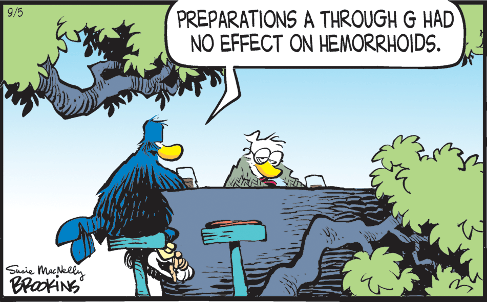 Drawing OCR: 9/5 PREPARATIONS A THROUGH G HAD NO EFFECT ON HEMORRHOIDS. Susie MacNelly BrackiNG 9/5 PREPARATIONS A THROUGH G HAD NO EFFECT ON HEMORRHOIDS. Susie MacNelly BrackiNG
