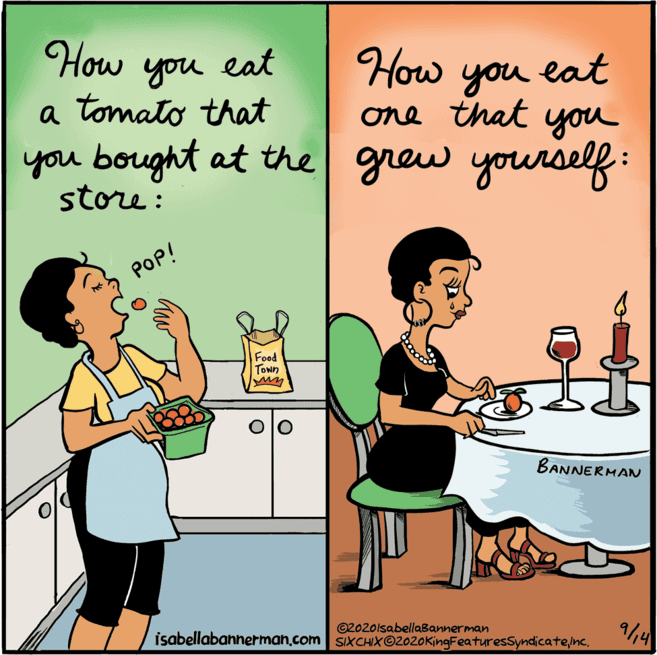 Gesture OCR: How you eat one that you you bought at the grew yourself : How you eat a tomato that store: POP! Food TOwn BANNERMAN ©2020lsabellaBannerman isabellabahnermah.com SIxCHIX©2020KingFeaturesSyndicatenc. 9/4 How you eat one that you you bought at the grew yourself : How you eat a tomato that store: POP! Food TOwn BANNERMAN ©2020lsabellaBannerman isabellabahnermah.com SIxCHIX©2020KingFeaturesSyndicatenc. 9/4
