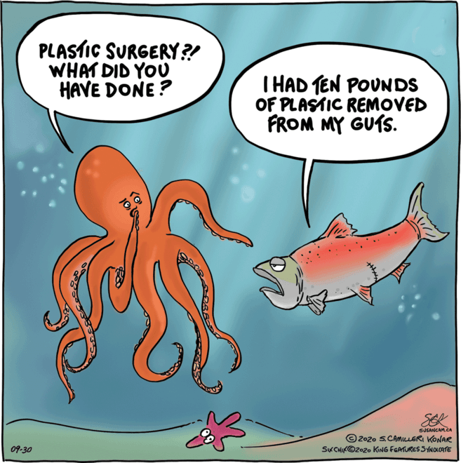 giant pacific octopus OCR: PLASTIC SURGERY?! WHAT DID YOU HAVE DONE? I HAD TEN POVNDS OF PLASTIC REMOVED FROM MY GUÍS. SEK SUSANCAM.CA ©2020 S.CAMILLERI KONAR SK CHIK©2020 KING FGATURES SYNOLCATE 09-30 PLASTIC SURGERY?! WHAT DID YOU HAVE DONE? I HAD TEN POVNDS OF PLASTIC REMOVED FROM MY GUÍS. SEK SUSANCAM.CA ©2020 S.CAMILLERI KONAR SK CHIK©2020 KING FGATURES SYNOLCATE 09-30