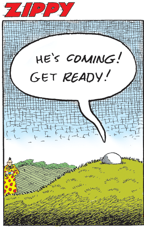 Grass OCR: ZIPPY HE'S COMING! GET READY! ?? ZIPPY HE'S COMING! GET READY! ? ?