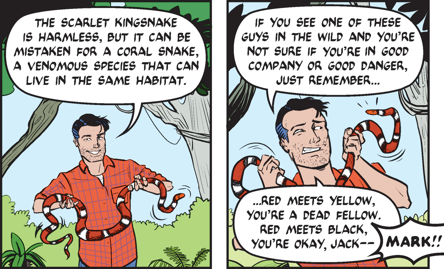 Interaction OCR: THE SCARLET KINGSNAKE IS HARMLESSBUT IT CAN BE MISTAKEN FOR A CORAL SNAKEA VENOMOUS SPECIES THAT CAN LIVE IN THE SAME HABITAT. IF YOU SEE ONE OF THESE GUYS IN THE WILD AND YOU'RE NOT SURE IF YOU'RE IN GOOD COMPANY OR GOOD DANGERJUST REMEMBER... .RED MEETS YELLOWYOU'RE A DEAD FELLOW. RED MEETS BLACKJACK--) MARK!! THE SCARLET KINGSNAKE IS HARMLESSBUT IT CAN BE MISTAKEN FOR A CORAL SNAKEA VENOMOUS SPECIES THAT CAN LIVE IN THE SAME HABITAT. IF YOU SEE ONE OF THESE GUYS IN THE WILD AND YOU'RE NOT SURE IF YOU'RE IN GOOD COMPANY OR GOOD DANGERJUST REMEMBER... .RED MEETS YELLOWYOU'RE A DEAD FELLOW. RED MEETS BLACKYOU'RE OKAYJACK--) MARK!!