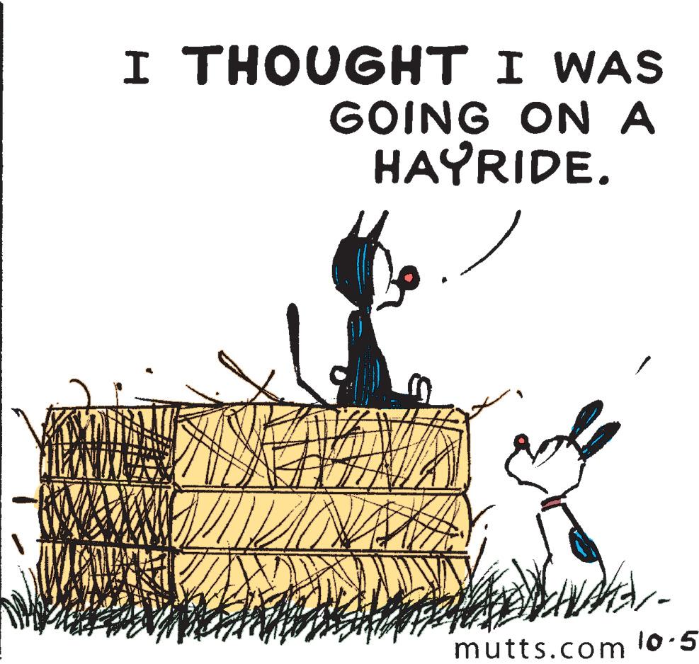 Art OCR: I THOUGHT I WAS GOING ON A HAYRIDE. mutts.com 10-5 I THOUGHT I WAS GOING ON A HAYRIDE. mutts.com 10-5