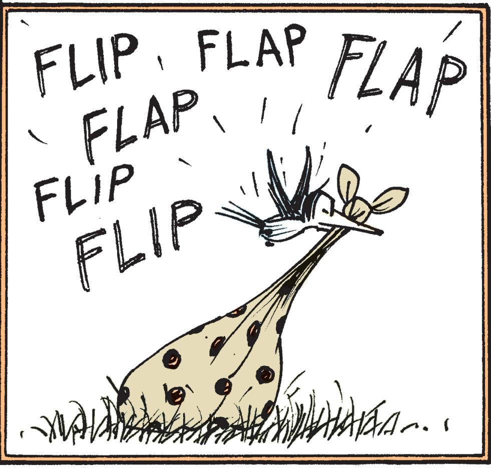 Calligraphy OCR: FLIPFLAP FLAP. FLIP FLAP FLIP FLIPFLAP FLAP. FLIP FLAP FLIP