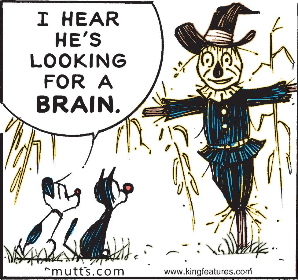 Art OCR: I ??AR HE'S LOOKING FOR A BRAIN. mutts.com www.kingfeatures.com I ??AR HE'S LOOKING FOR A BRAIN. mutts.com www.kingfeatures.com