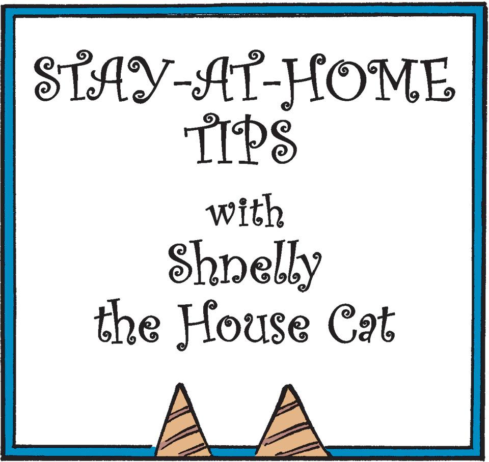 Parallel OCR: STAY-AT-HOME TIPS with Shnelly the House Cat STAY-AT-HOME TIPS with Shnelly the House Cat