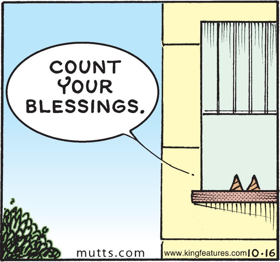 Parallel OCR: COUNT YOUR BLESSINGS. AA mutts.com www.kingfeatures.com/O.16 COUNT YOUR BLESSINGS. AA mutts.com www.kingfeatures.com/O.16